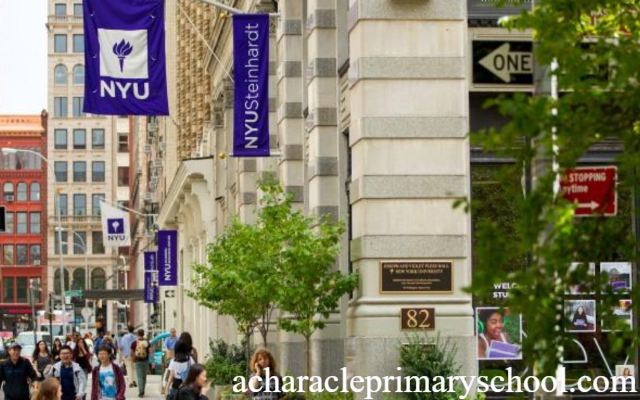 Panduan 6 Jenis Beasiswa di UNY